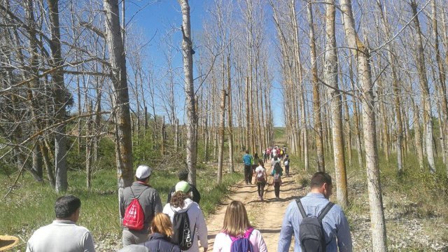 2017 Paseos Naturales